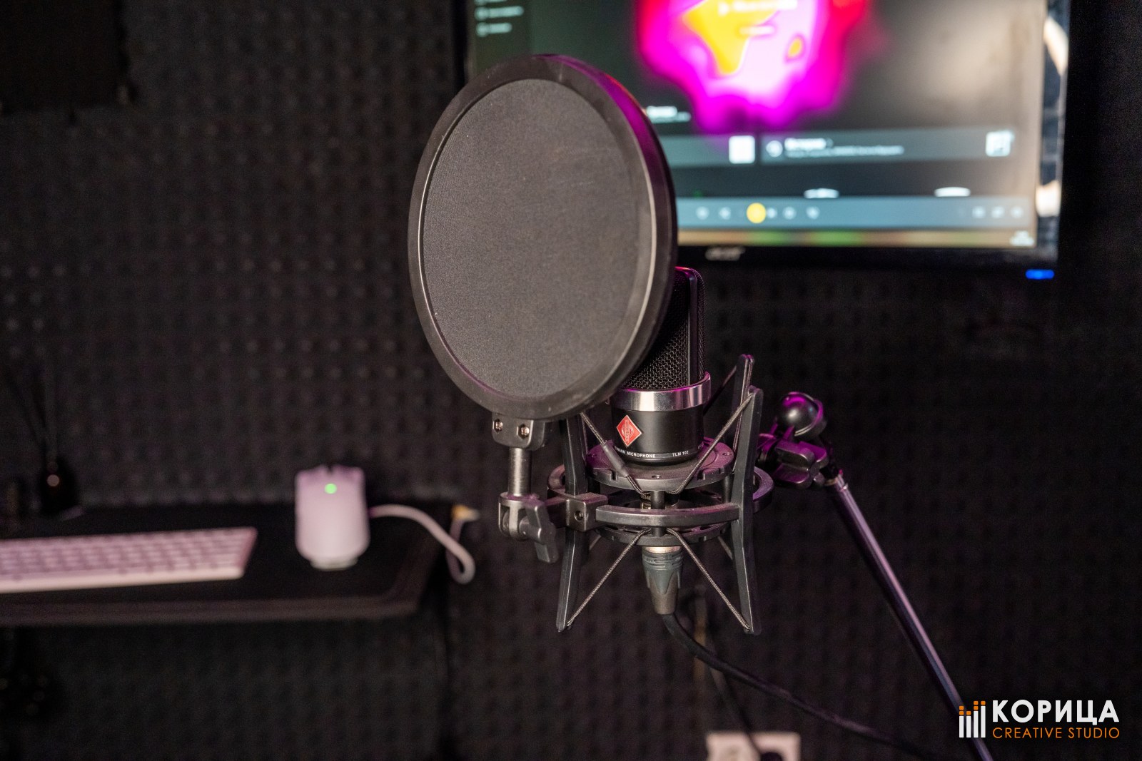 Микрофон Neumann TLM 102 в пауке с поп-фильтром на стойке, на фоне экран с проектом