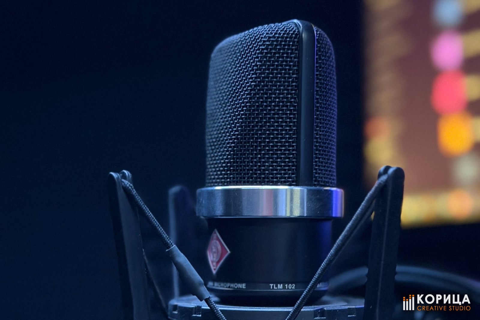 Микрофон Neumann TLM 102 в антивибрационном подвесе в студии «Корица»