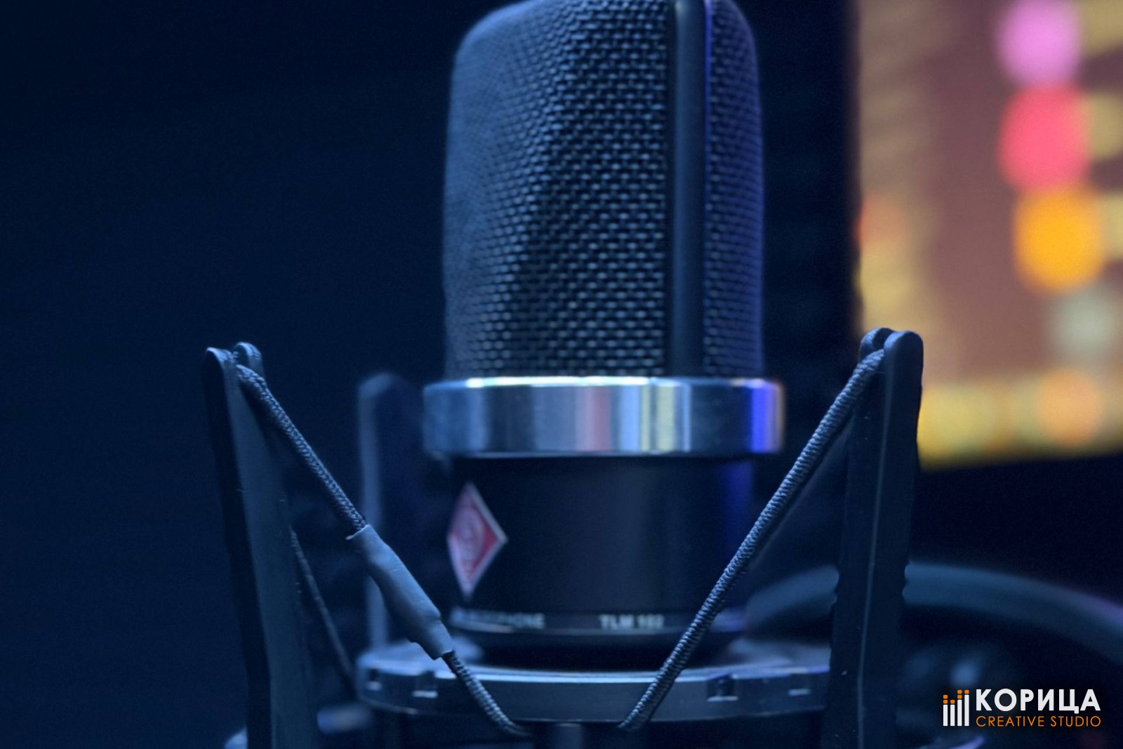 Конденсаторный микрофон Neumann TLM 102 в подвесе-«пауке» крупным планом в студии «Корица»