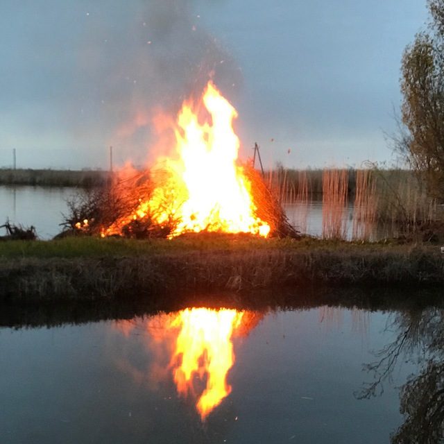Обложка Свадьба